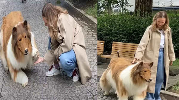 Man Turns into Dog: పిచ్చికాదు అంతకు మించి.. లక్షలు ఖర్చుచేసి కుక్క బతుకు..! వీధుల్లో తిరుగుతూ హల్చల్