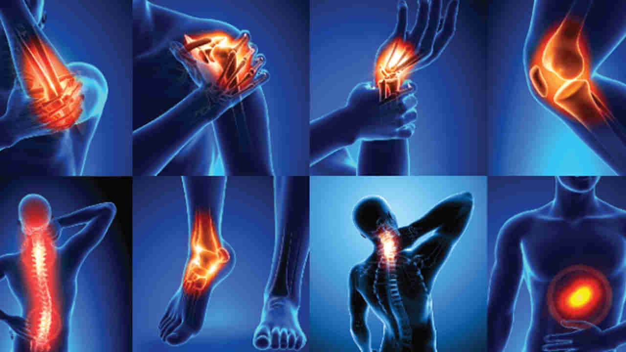 Joint Pains: ఈ 4 ఆహారాలతో కీళ్ల నొప్పులకు చెక్.. అదనంగా ఆరోగ్య ప్రయోజనాలు..