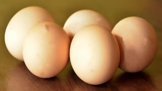 ITR Filing: ఐటీఆర్ ఫైల్ చేసేవారికి బిగ్ అప్‌డేట్.. ఆదాయపు పన్ను శాఖ ఇచ్చిన ఈ సమాచారం మీ కోసం..