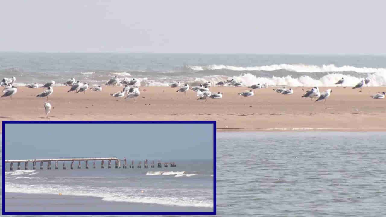 Andhra Pradesh: ఆ బీచ్లో విదేశీ పక్షుల సందడి.. చుట్టూ నీరు-మధ్యలో ఐలాండ్.. బాహ్య ప్రపంచానికి తెలియని సుందరమైన సముద్రతీరం..