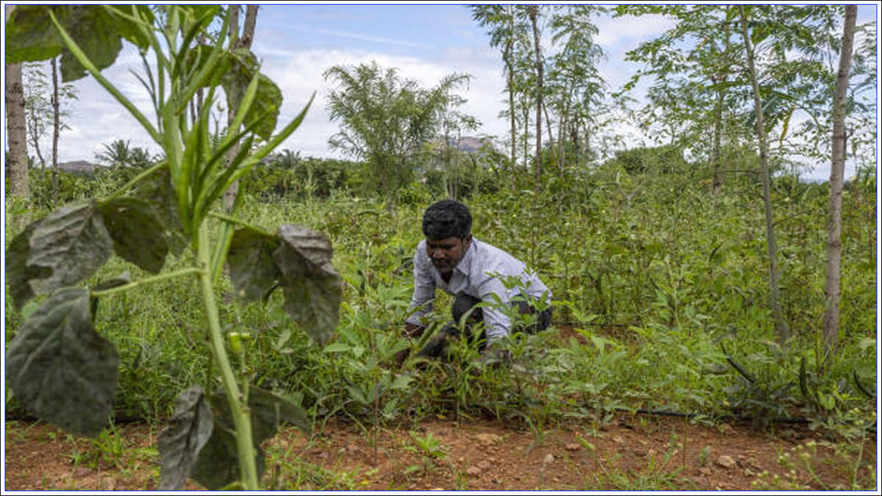 సిద్ధరామయ్య తన బడ్జెట్‌లో వ్యవసాయ రంగానికి మేలు చేసే అనేక అభివృద్ధి పనులను ప్రకటించారు. రూ.75 కోట్లతో శిడ్లఘాట్‌లో పట్టు మార్కెట్‌ ఏర్పాటు, కొబ్బరి , వేరుశనగ, ద్రాక్ష, దానిమ్మ పంటల ప్రాసెసింగ్ కోసం 10 కోట్ల రూపాయలతో ఒక ప్రాజెక్ట్, చిక్కమగళూరులో టూరిజం, కాఫీ పరిశ్రమల అభివృద్ధికి చర్యలు తీసుకోవాలని బడ్జెట్‌లో పేర్కొన్నారు.