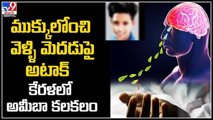 Amoeba: ముక్కులోంచి వెళ్ళి మెదడుపై అటాక్.. కేరళలో అమీబా కలకలం.. వీడియో. Amoeba: ముక్కులోంచి వెళ్ళి మెదడుపై అటాక్.. కేరళలో అమీబా కలకలం.. వీడియో.