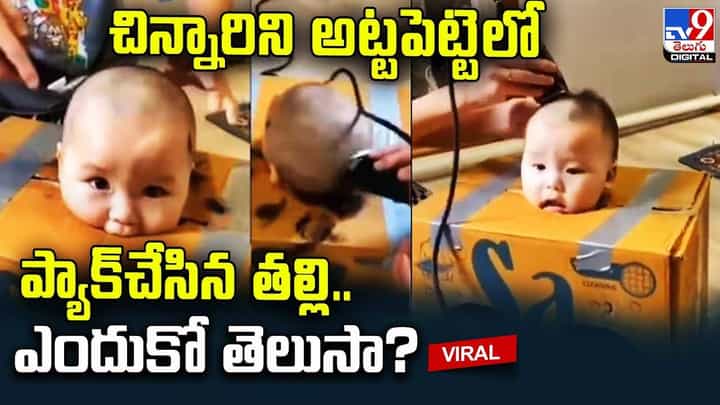 చిన్నారి బాబును అట్టపెట్టెలో ప్యాక్చేసిన తల్లి !! ఎందుకో తెలుసా ?? చిన్నారి బాబును అట్టపెట్టెలో ప్యాక్చేసిన తల్లి !! ఎందుకో తెలుసా ??