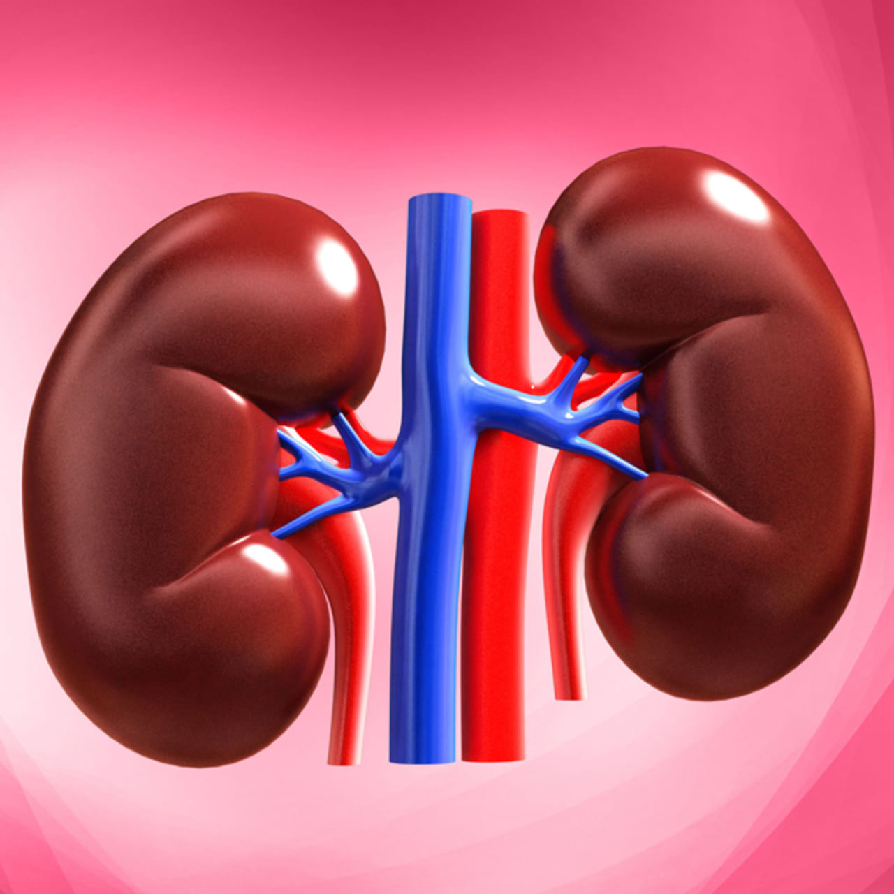 శరీరంలో మలినాలను బయటికి పంపడంలో కిడ్నీలు సహాయపడతాయి. శరీరంలో పొటాషియం స్థాయిలను కూడా అదుపులో ఉంచుతాయి. అయితే నేటి జీవనశైలి, క్రమం తప్పిన ఆహారపు అలవాట్ల కారణంగా కిడ్నీ సమస్యలకు గురవుతున్నాయి.