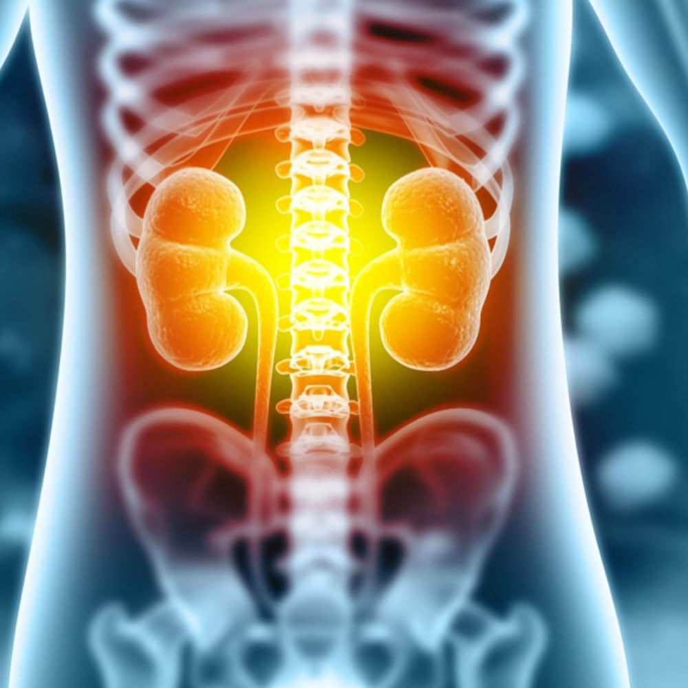 మూత్రపిండ వ్యాధులను మూత్రం ద్వారా త్వరగా తెలుసుకోవచ్చని చెబుతున్నారు నిపుణులు. మూత్ర విసర్జన చేసేటప్పుడు మంటగా అనిపించడం, మూత్రంలో రక్తం రావడం, మూత్రం రంగులో మార్పు కనిపించడం వంటివి ఇవి కిడ్నీల వ్యాధి ప్రారంభ లక్షణాలుగా గుర్తించాలి. ఇటువంటి సందర్భంలో వెంటనే వైద్యులను సంప్రదించాలి. ఎందుకంటే కిడ్నీ ఇన్‌ఫెక్షన్‌కు సకాలంలో చికిత్స తీసికోకుంటే అనేక సమస్యలకు కారణం అవుతుంది.