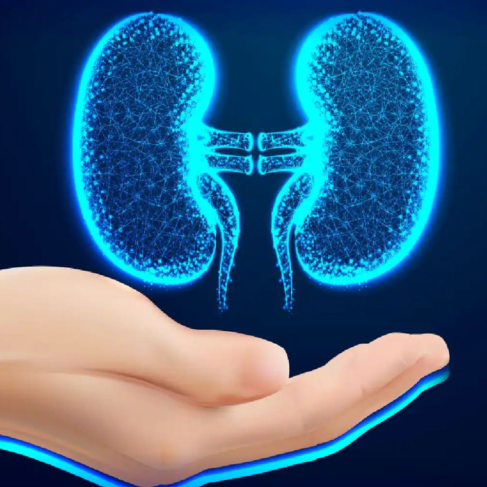 పాదాలలో వాపు కిడ్నీల వ్యాధికి మరో సూచన. పాదాల్లో తరచూ వాపు ఉంటే వెంటనే వైద్యుడిని సంప్రదించాలి డయాబెటిస్, గుండె సమస్యలున్న వారు కిడ్నీ వ్యాధులపై శ్రద్ధ వహించాలి. కిడ్నీ ఫెయిల్యూర్ ప్రమాదం వీరిలో ఎక్కువగా ఉంటుంది.