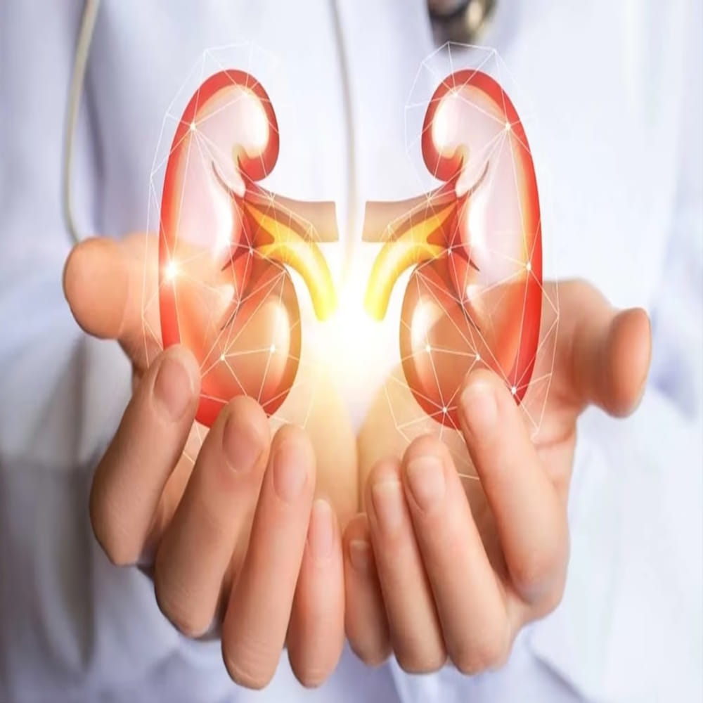 కిడ్నీ ఆరోగ్యంగా ఉండాలంటే ఆహారంపై శ్రద్ధ పెట్టాలి.  మందులు ఎక్కువగా వాడటం వల్ల కిడ్నీలు దెబ్బతింటాయి. రోజుకు కనీసం 4 లీటర్ల నీళ్లు తాగాలి. షుగర్ వ్యాధిగ్రస్తులు  చక్కెర స్థాయిలను అదుపులో ఉంచుకోవాలి. మూత్రానికి సంబంధించిన ఏవైనా లక్షణాలు కనిపిస్తే వెంటనే వైద్యుడిని సంప్రదించాలి. 