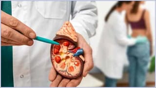 Ice Cream Recipes: మీ పిల్లలు ఐస్‌క్రీమ్‌ కావాలని మారాం చేస్తున్నారా? ఈ హోం మేడ్‌ ఐస్‌క్రీమ్‌ రెసిపీస్‌ ట్రై చేయాల్సిందే..!