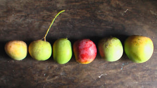 Dharmendra Pradhan: ఎన్నిసార్లు అవిశ్వాసం పెట్టినా నో యూజ్.. విపక్షాలపై ధర్మేంధ్ర ప్రదాన్ ఆగ్రహం..