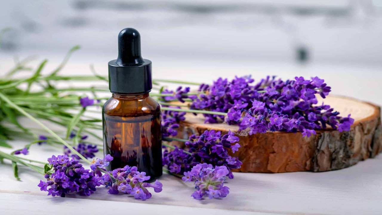 Lavender Oil- లావెండర్ ఆయిల్‌ను ముఖం, మెడ, చేతులకు అప్లై చేయడం వల్ల చర్మం యవ్వనంగా ఉండేందుకు సహాయపడుతుంది. కోపాన్ని తగ్గించడం కూడా వృద్ధాప్యాన్ని దూరం చేసేందుకు గొప్పగా సహాయపడుతుంది.