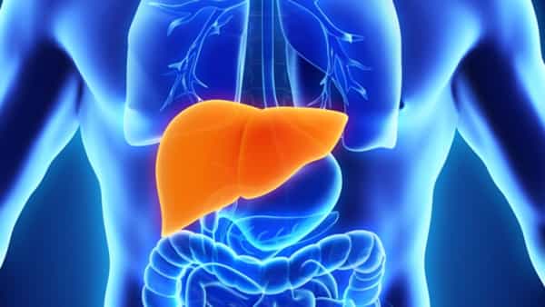 Health Tips: కాలేయం క్లీన్ గా ఉండాలంటే.. ఈ వెజిటేబుల్స్ తినాల్సిందే!