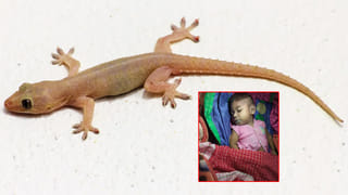 Karnataka: మా ప్రభుత్వాన్ని కూల్చేందుకు కుట్ర జరుగుతోంది.. డీకే శివకుమార్ సంచలన వ్యాఖ్యలు