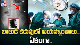 Viral Video: కింగ్ కోబ్రాకు కిస్.. నెటిజన్లు ఫైర్