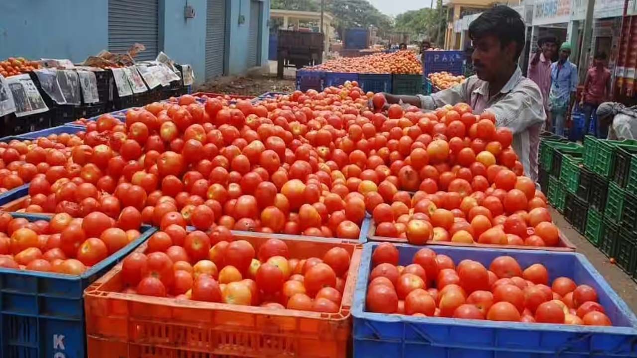 టమాట ధర సెంచరీ దాటడంతోనే చాలా మంది వంటల్లో ఉపయోగించడం మానేశారు. వెల్లుల్లి ధర కూడా కళ్లు చెదిరేలా ఉంది. వర్షాకాలంలో కూరగాయల ధరలు ఇప్పటికే అధికంగా ఉన్నాయి. ధర తగ్గేంత వరకు అన్నం, పప్పులు తింటూ నెలల తరబడి గడుపుతుందని భావించిన వారికి చేదువార్త. దీంతో రోజువారి పప్పుల ధర కూడా పెరుగుతోంది. 