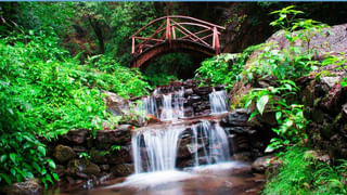 మటన్, చికెన్ దండగ.. బోడ కాకరకాయ ఉండగా!! ఈ సీజన్‌లో పుష్కలంగా..