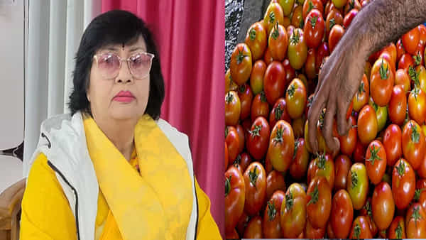 టమాటా తినడం మానేస్తే ధరలు దిగివస్తాయి మంత్రి వివాదాస్పద వ్యాఖ్యలు