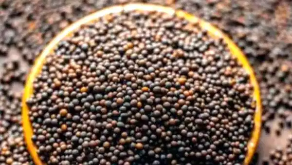 Mustard Benefits: ఆవాలతో ఆహా అనిపించే ప్రయోజనాలు.. కానీ జాగ్రత్త సుమీ!!