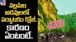 Gold Smuggling: శంషాబాద్ ఎయిర్ పోర్ట్ లో భారీగా బంగారం పట్టివేత..