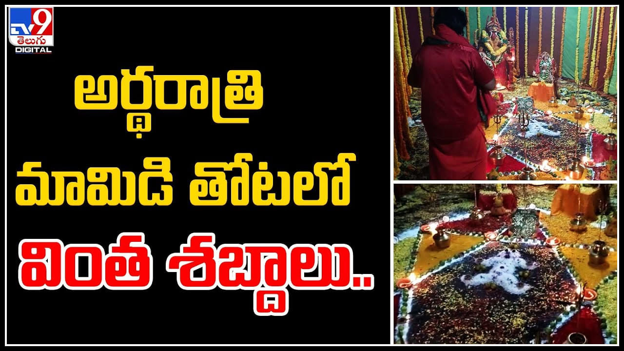 Viral Video: అర్థరాత్రి మామిడి తోటలో వింత శబ్దాలు..! అందరూ పక్క రాష్ట్రాల వారే..