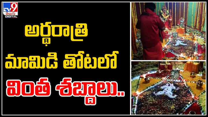 Viral Video: అర్థరాత్రి మామిడి తోటలో వింత శబ్దాలు..! అందరూ పక్క రాష్ట్రాల వారే.. Viral Video: అర్థరాత్రి మామిడి తోటలో వింత శబ్దాలు..! అందరూ పక్క రాష్ట్రాల వారే..