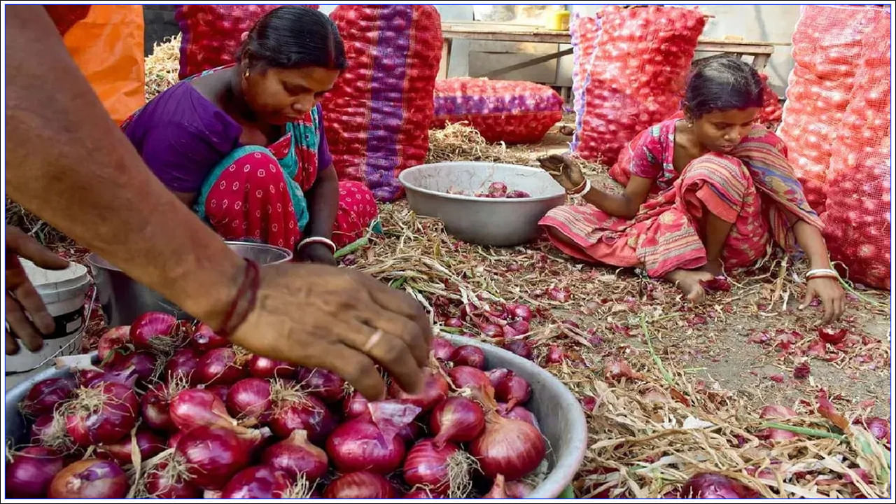 Onions Price: టమోటా లాగా ఉల్లి ధర పెరగదు.. ప్రభుత్వం మాస్టర్ ప్లాన్