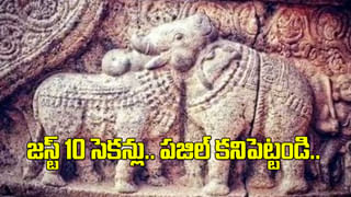 Watch Video: కర్నాటకలో ఆగని మహిళల పోరాటాలు.. బస్సులో జుట్టు జట్టు పట్టుకుని తన్నుకున్న మహిళలు..