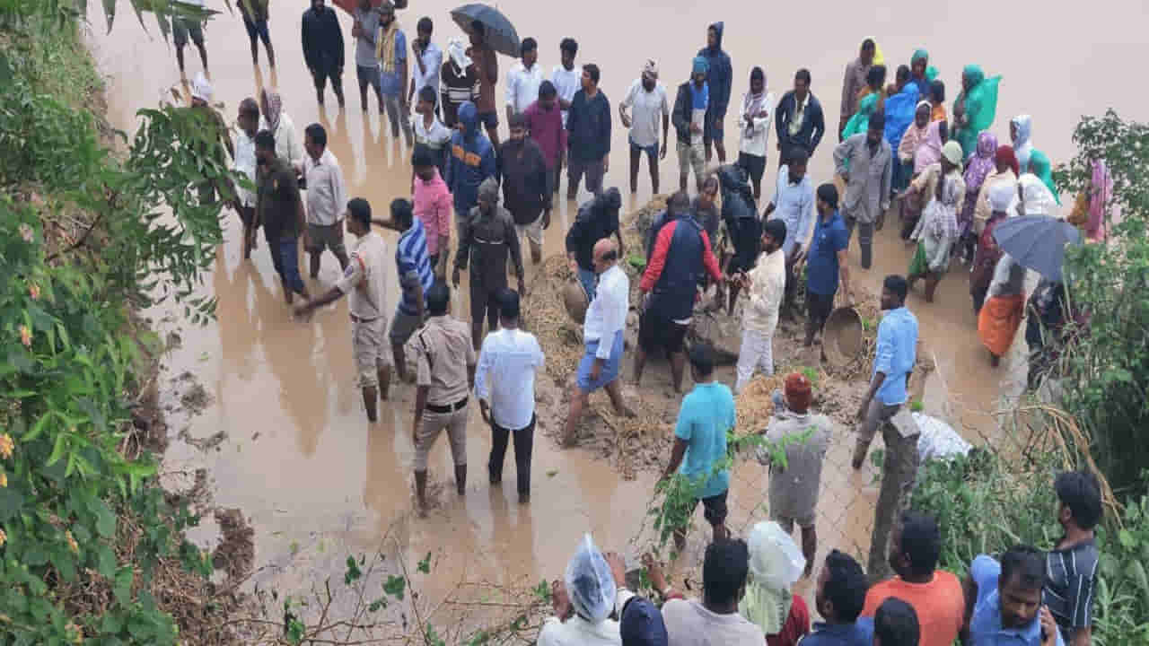 వరినాట్లు వేసేందుకు వెళ్లిన వ్యవసాయ కూలీ.. ఊహించని ప్రమాదంలో చిక్కుకొని నరకయాతన