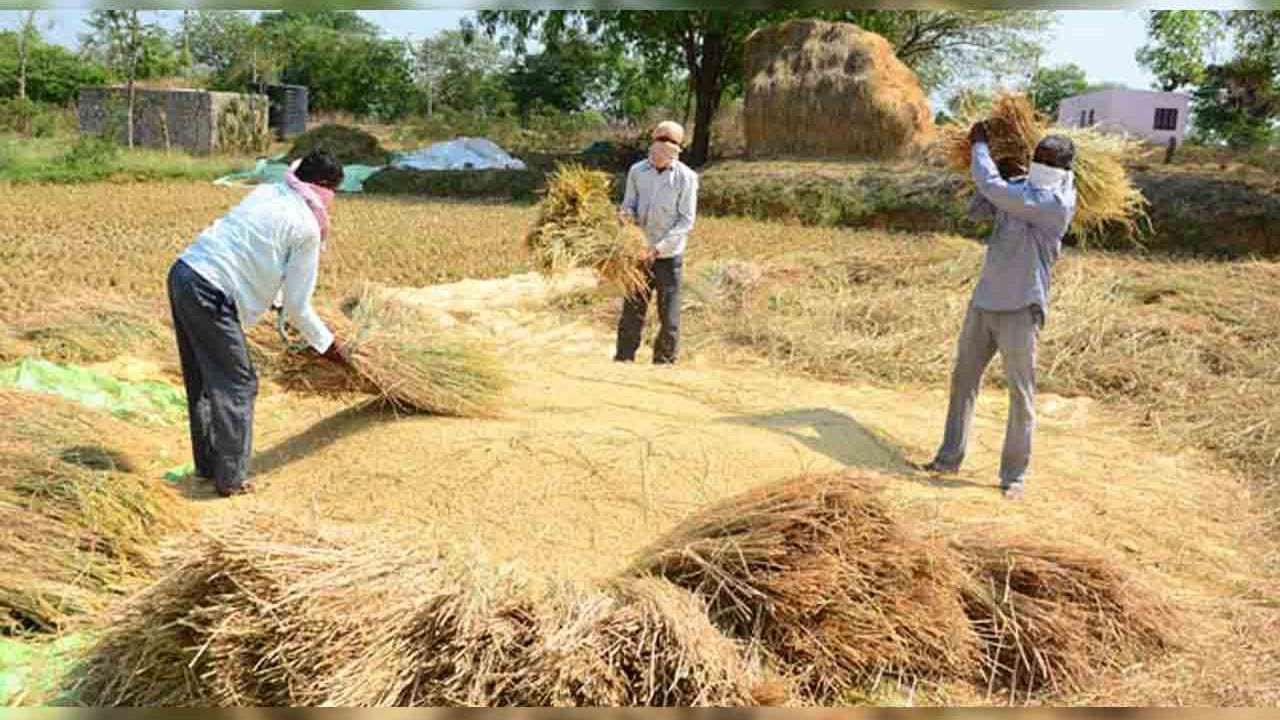 ఖర్చు తగ్గించుకునేందకు ఆధునిక పద్దతులను అనుసరిస్తూనే.. ఎరువులను కాకుండా గో ఆదారిత వ్యవసాయం చేయడం వల్ల అధిక లాభం వస్తుంది.