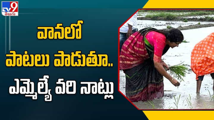 Telangana: పొలంలో పాటలు పాడుతూ వరి నాట్లు వేసిన ఎమ్మెల్యే.. Telangana: పొలంలో పాటలు పాడుతూ వరి నాట్లు వేసిన ఎమ్మెల్యే..