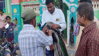 Machilipatnam: మోకాల్లోతు వరదలో కొట్టుకొచ్చిన పాల పాకెట్లు.. నీటిలోనూ ఎగబడిన జనం.. వైరల్ అవుతున్న వీడియో..