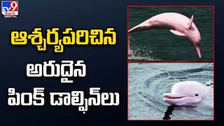 బర్త్‌డే పార్టీకి రూ. 3 లక్షల బిల్లు.. జుట్లు పట్టుకున్న యువతులు