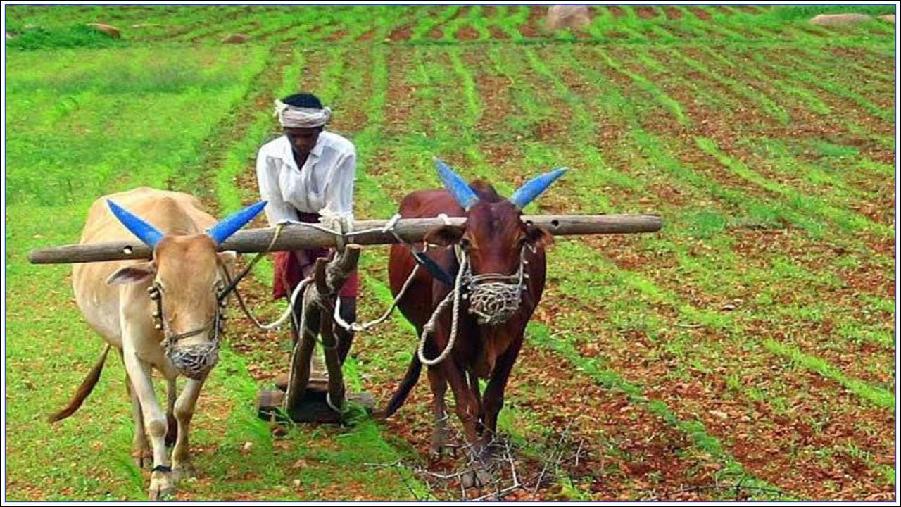 PM Kisan Yojana: జూలై 27న విడుదలయ్యే పీఎం కిసాన్‌ డబ్బులు వీరికి మాత్రం రావు.. ఎందుకో తెలుసా..?