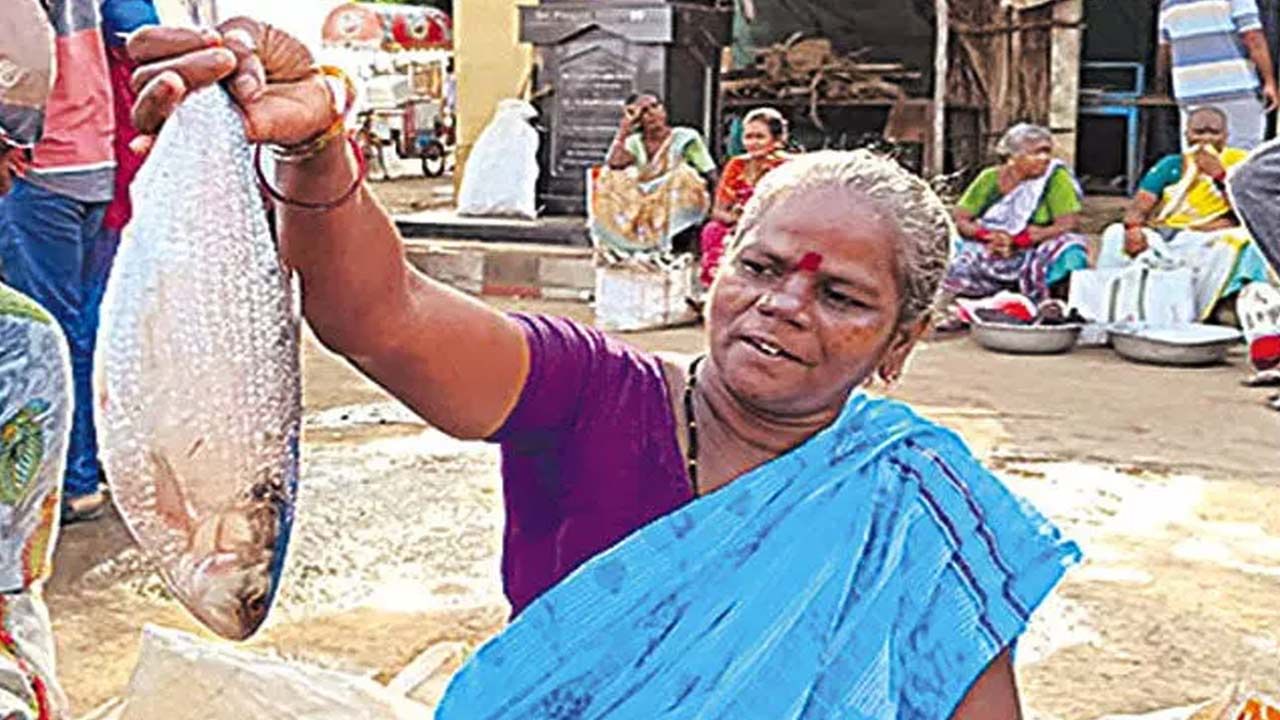 Pulasa Fish: బాబోయ్‌.. పుస్తెలమ్మినా పులస తినలేం..! ధరెంతో తెలుసా..