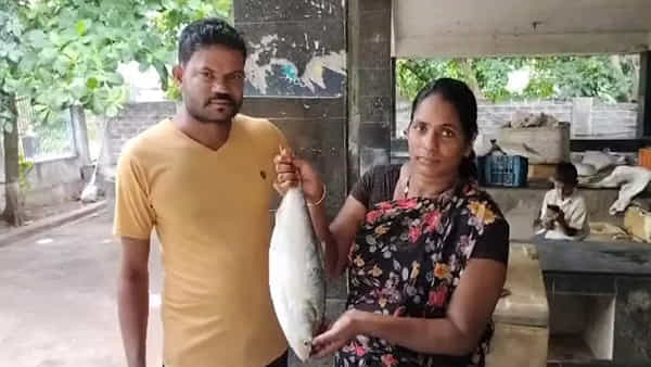 Pulasa: గోదారికి పోటెత్తిన ఎర్ర నీరు.. వలకు చిక్కిన మొదటి పులస.. ఎన్నివేలకు అమ్ముడయిందంటే