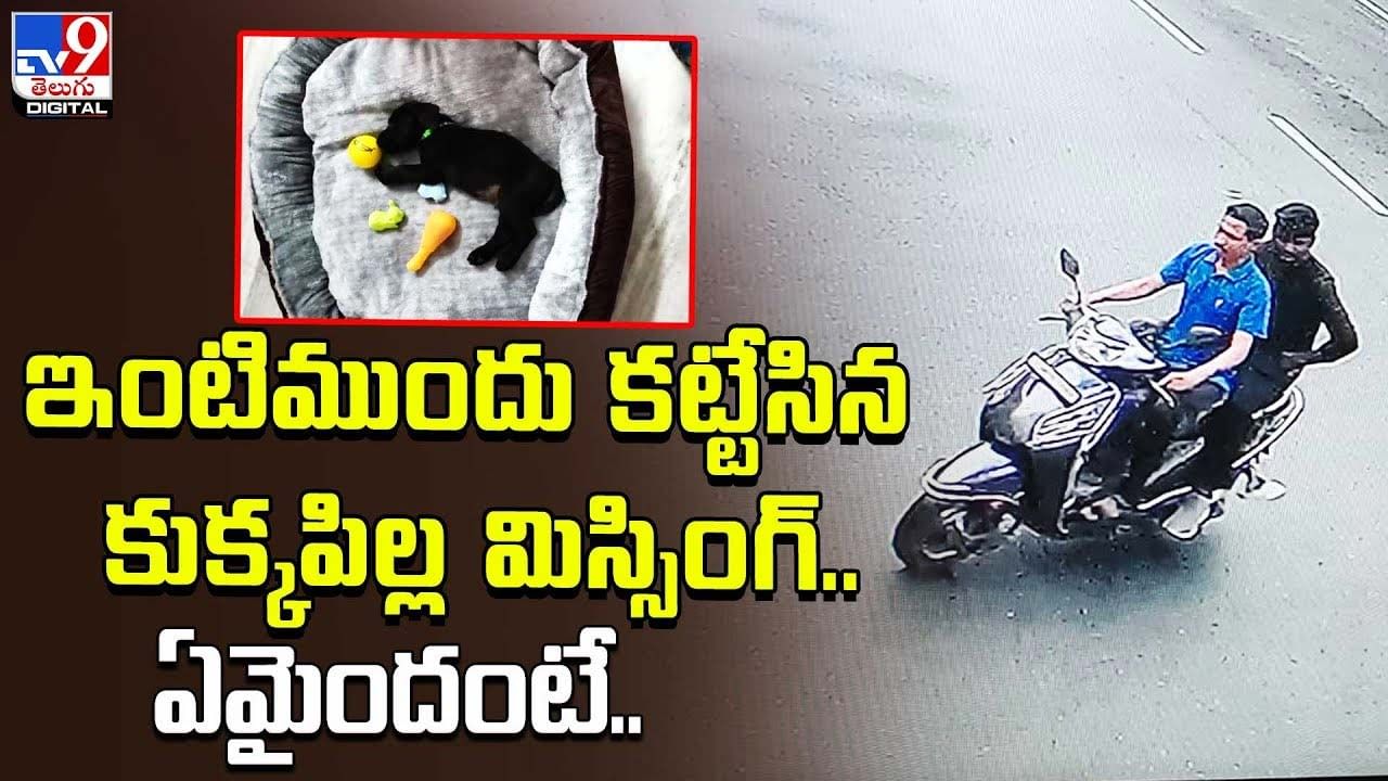 ఇంటిముందు కట్టేసిన కుక్కపిల్ల మిస్సింగ్‌.. ఏమైందంటే ??