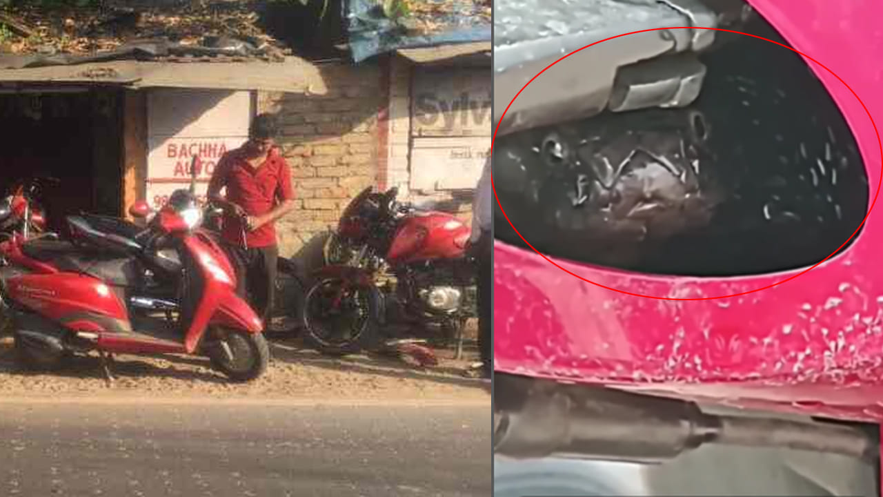 Viral Video: స్కూటీ నుంచి వింత శబ్దాలు.. కదులుతూ కనిపించిన నల్లటి ఆకారం.. ఏంటని చూడగా.!