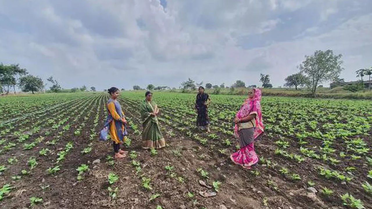 పొలానికి వెళ్లిన తల్లి ఎంతసేపైనా ఇంటికి తిరిగిరాలేదు.. ఖంగారుగా కొడుకు అక్కడికి చేరుకోగా.!