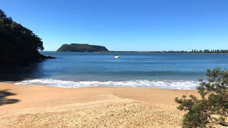 Watch Video: బర్రెల మంద ధైర్యానికి సలాం.. వేటాడబోయిన పెద్ద పులిని వెంటబడి మరీ చంపేశాయి.. వీడియో చూస్తే షాకే..