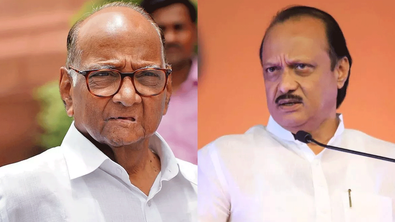 Sharad Pawar: మోదీ కుట్ర తోనే ఎన్సీపీలో చీలిక.. సతారాలో బలప్రదర్శన చేసిన శరద్‌పవార్‌