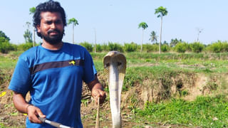 Pawan Kalyan: ఏపీలో పొత్తులపై పవన్‌ కీలక వ్యాఖ్యలు.. టీడీపీ, బీజేపీల మధ్య ఆ సమస్య ఉందంటూ..