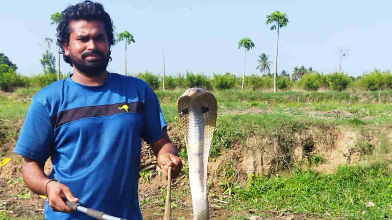 Andhra News: పాము కాటేస్తే మంత్రగాళ్లు , నాటు వైద్యుల వద్దకు వెళ్తున్నారా..? జాగ్రత్త సుమీ