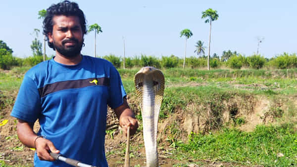 Andhra News: పాము కాటేస్తే మంత్రగాళ్లు , నాటు వైద్యుల వద్దకు వెళ్తున్నారా..? జాగ్రత్త సుమీ