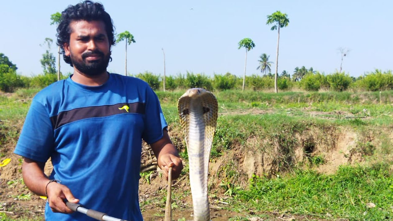 Andhra News: పాము కాటేస్తే మంత్రగాళ్లు , నాటు వైద్యుల వద్దకు వెళ్తున్నారా..? జాగ్రత్త సుమీ