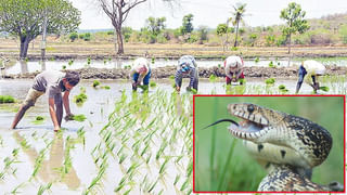 Purandeswari: ఇకపై అలా ఉండదు.. పవన్ కల్యాణ్‌తో మాట్లాడతా.. ఏపీ బీజేపీ చీఫ్ పురంధేశ్వరి కీలక వ్యాఖ్యలు..