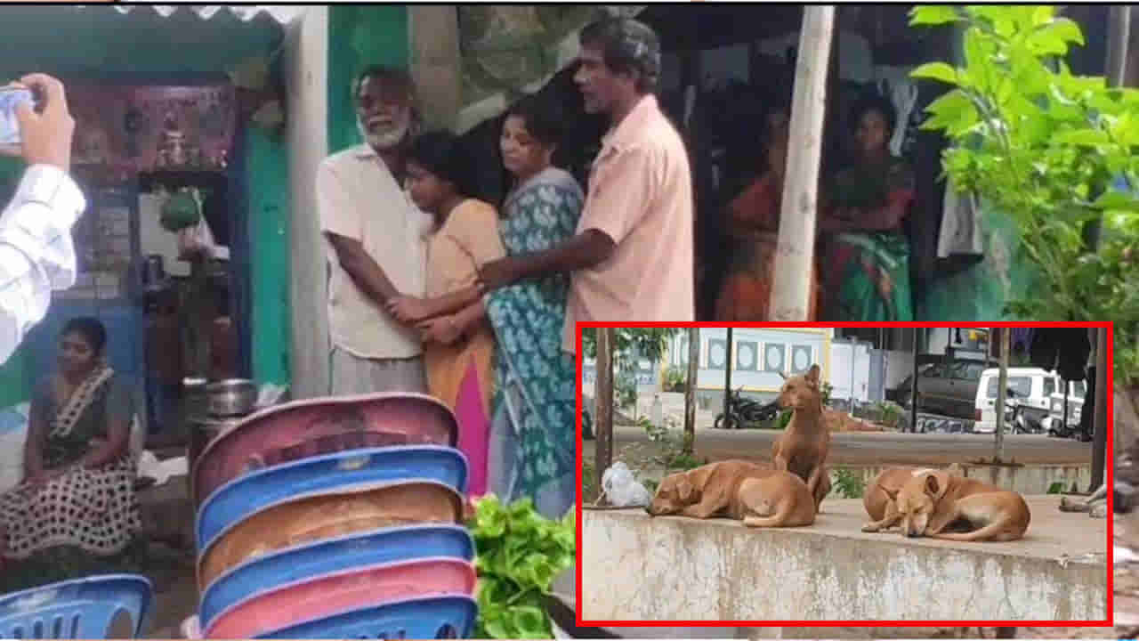 Kakinada: రాబిస్ లక్షణాలతో ఇద్దరు మృతి.. కుక్కల స్వైరవిహారంతో భయాందోళనలో స్థానికులు.. కన్నెత్తి చూడని అధికారులు..