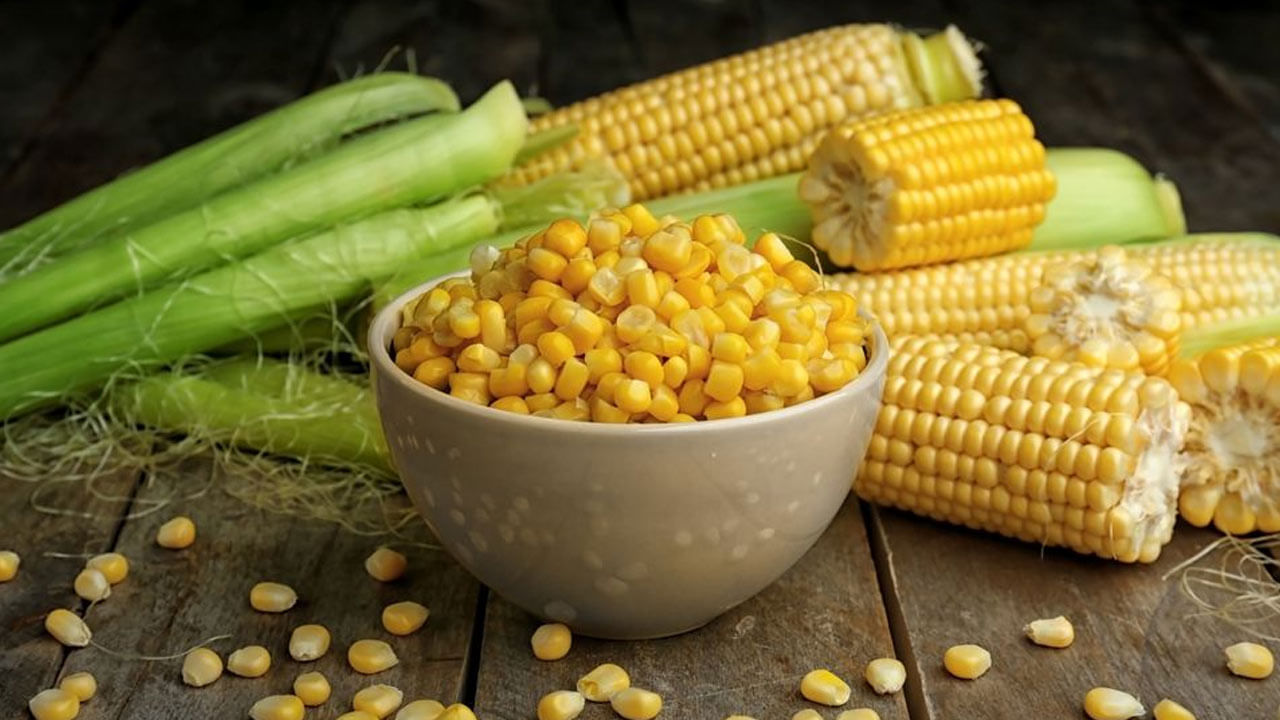Benefits Of Sweet Corn: ఫిట్గా ఉండటానికి ఆరోగ్యంగా ఉండటం కూడా చాలా ముఖ్యం. దీని కోసం, శరీరానికి అనేక రకాల విటమిన్లు, ప్రొటిన్లు అవసరం. అయితే, ఆరోగ్యకరమైన డైట్ లో భాగంగా ప్రజలు వివిధ రకాల ఆహారాలను తీసుకుంటారు. ఇలాంటి సమయంలో మీకు మొక్కజొన్న మంచి ఆహారం అని సూచిస్తున్న ఆరోగ్య నిపుణులు.. మొక్క జొన్న తీసుకోవడం వల్ల మీ ఆరోగ్యానికి చాలా ప్రయోజనాలు లభిస్తాయి. ఎందుకంటే ఇందులో ఫైబర్ ఎక్కువగా ఉంటుంది. ఇది పొట్ట ఆరోగ్యానికి కూడా మేలు చేస్తుంది. మొక్కజొన్న తినడం వల్ల శరీరానికి ఎలాంటి ప్రయోజనాలు కలుగుతాయి.. ఎలాంటి సమస్యలకు చెక్ పెట్టవచ్చు.. అనే విషయాలను ఇప్పుడు తెలుసుకోండి..
