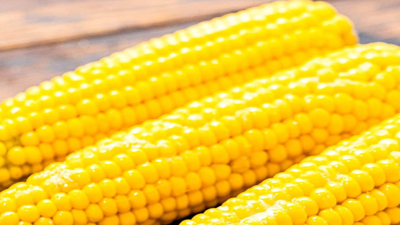 రక్తంలో చక్కెర నియంత్రణ: రక్తంలో పెరుగుతున్న చక్కెర సమస్యకు మొక్కజొన్న చాలా ఉపయోగకరంగా ఉంటుంది. దీన్ని రోజూ తీసుకుంటే మధుమేహం అదుపులో ఉంటుంది. అందువల్ల, మీకు రక్తంలో చక్కెర సమస్య ఉంటే మొక్కజొన్న మేలంటున్నారు నిపుణులు..