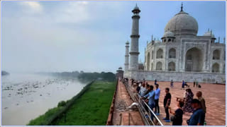 How to Store Ginger: అల్లం ఇలా నిల్వ చేస్తే 6 నెలల వరకు ఉపయోగించవచ్చు