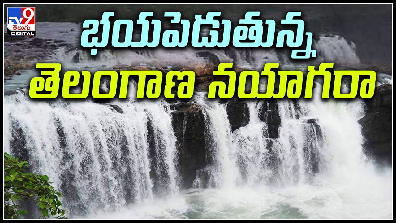 Bogatha Waterfalls: తెలంగాణ 'నయాగార' బోగత జలపాతానికి వరద.. సూపర్ వీడియో.