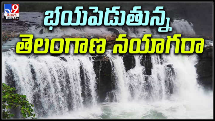 Bogatha Waterfalls: తెలంగాణ 'నయాగార' బోగత జలపాతానికి వరద.. సూపర్ వీడియో. Bogatha Waterfalls: తెలంగాణ 'నయాగార' బోగత జలపాతానికి వరద.. సూపర్ వీడియో.